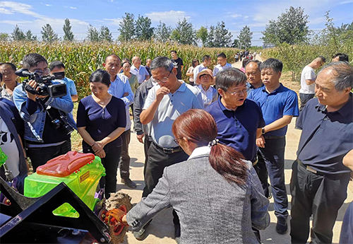 陕西省农业厅孙矿玲厅长携全省农机部门领导澄城县试验田查看苗情